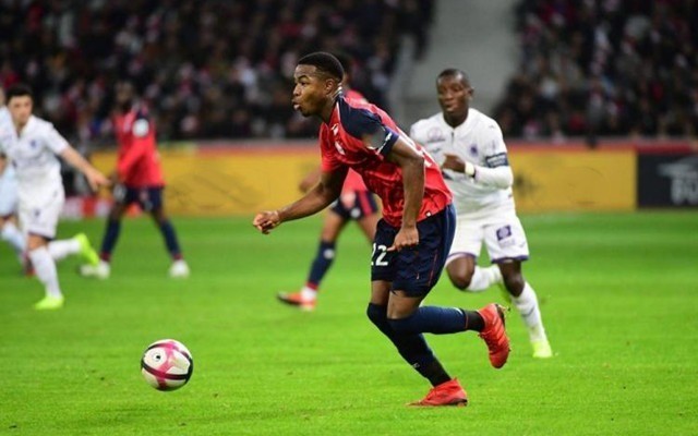 结合快速的 结合快速的