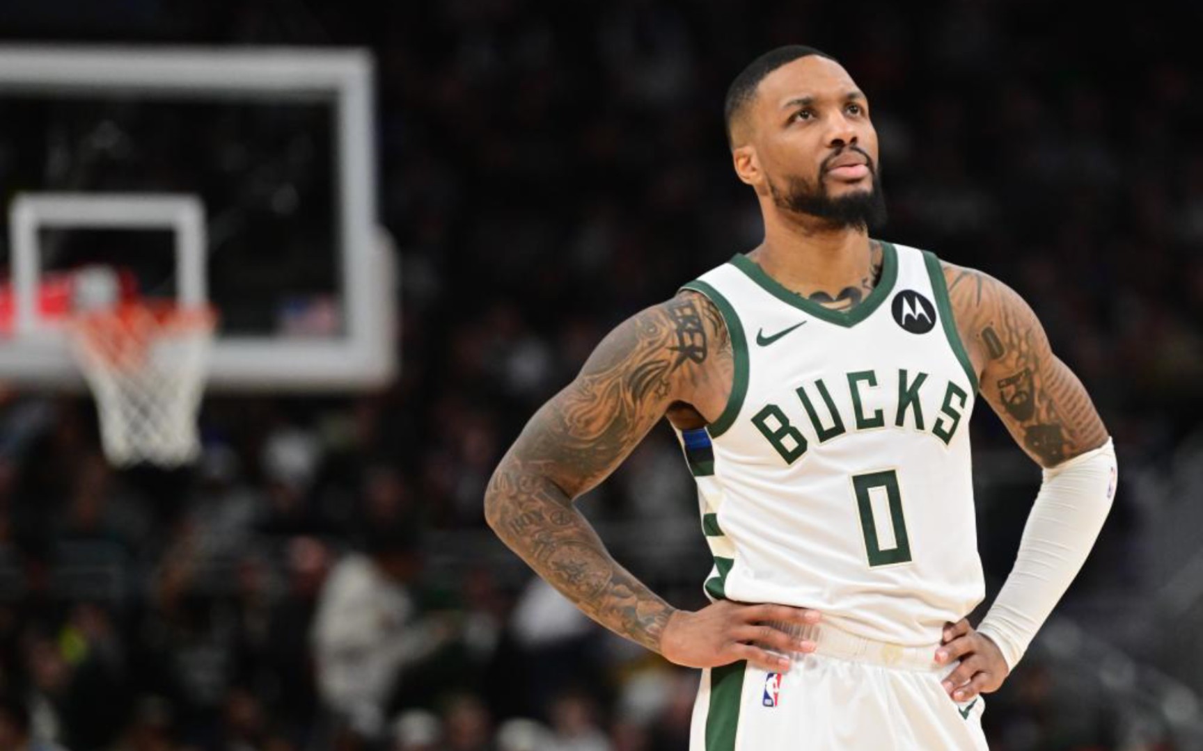 F1中国大 F1中国大